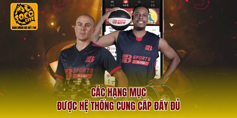Các hạng mục được hệ thống cung cấp đầy đủ