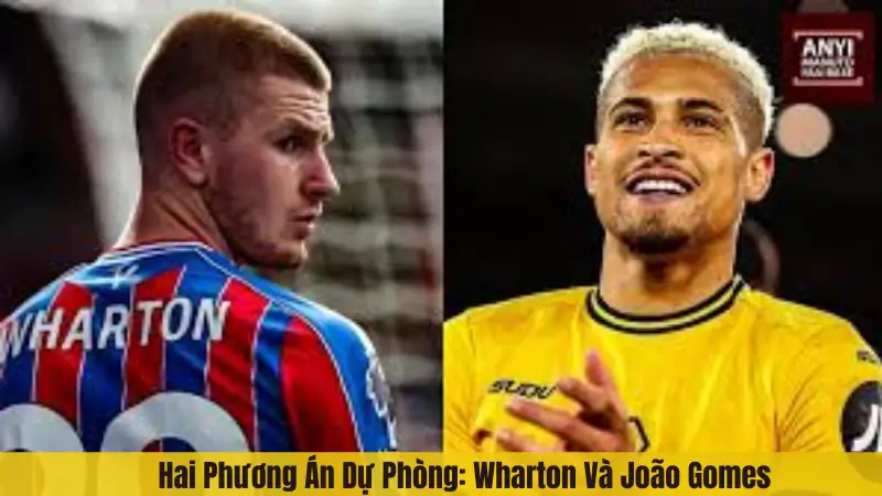 Hai Phương Án Dự Phòng: Wharton Và João Gomes